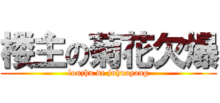 楼主の菊花欠爆 (louzhu de juhuayang)