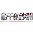 能干的沙洲 (attack on titan)