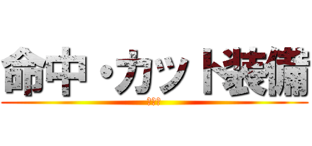 命中・カット装備 (モンク)