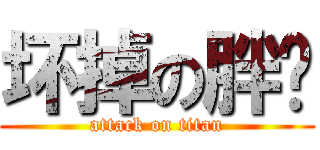 坏掉の胖纸 (attack on titan)