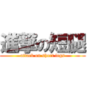 進撃の短腿 (attack on short legs)