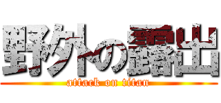 野外の露出 (attack on titan)