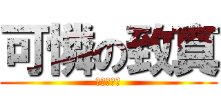 可憐の致真 (英文被當掉)