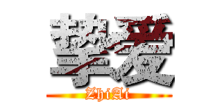 挚爱 (ZhiAi)