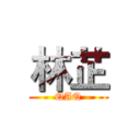 林芷 (QAQ)