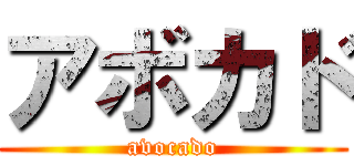 アボカド (avocado)