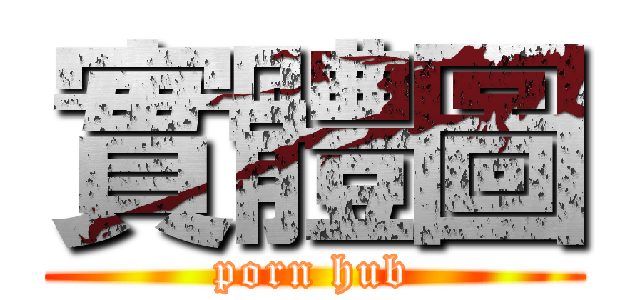 實體圖 (porn hub)