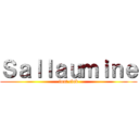 Ｓａｌｌａｕｍｉｎｅ (foot club)