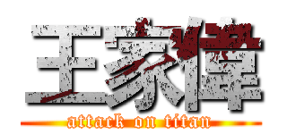 王家偉 (attack on titan)