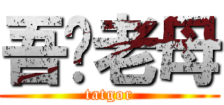 吾您老母 (tatgor)