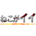 ねこがイイ (like cat)