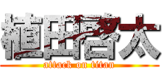 植田啓太 (attack on titan)