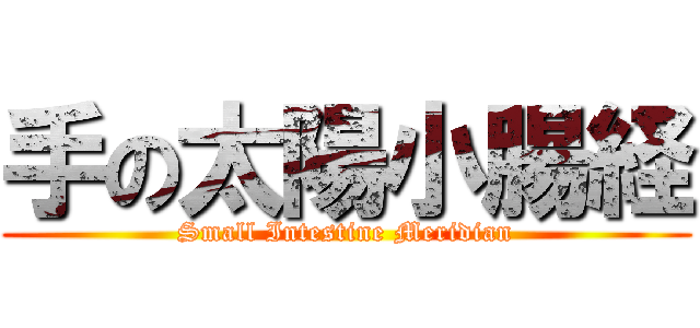 手の太陽小腸経 (Small Intestine Meridian)