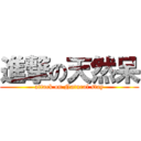 進撃の天然呆 (attack on Natural stay)