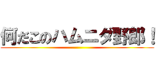 何だこのハムニダ野郎！ ()