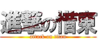 進撃の惜東 (attack on titan)
