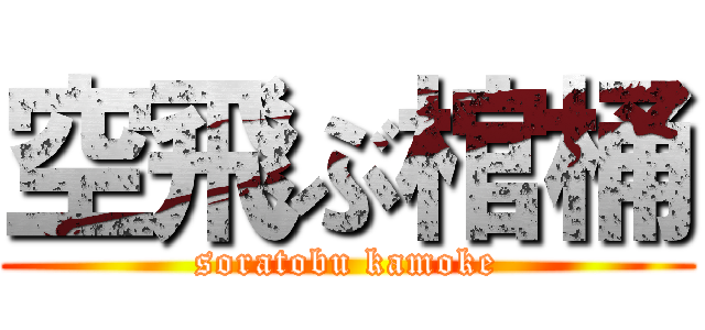 空飛ぶ棺桶 (soratobu kamoke)