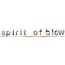 ｓｐｉｒｉｔ  ｏｆ ｂｌｏｗｓ (spirit of blows)