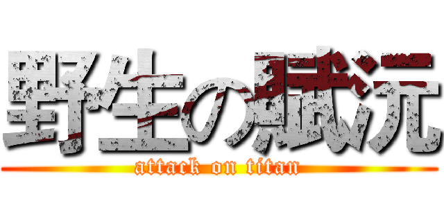 野生の賦沅 (attack on titan)