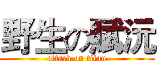 野生の賦沅 (attack on titan)