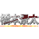 橋本景太 (attack on titan)