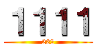 １１１１ (222)