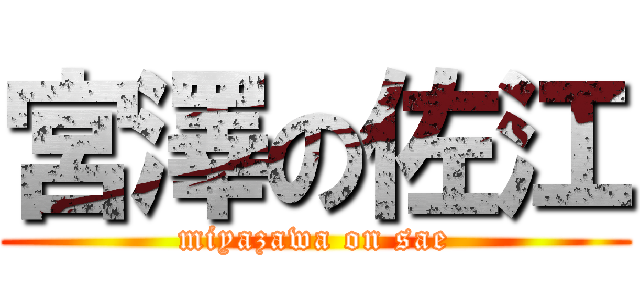 宮澤の佐江 (miyazawa on sae)