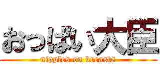 おっぱい大臣 (nipples on breasts)