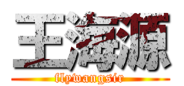王海源 (flywangsir)