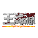 王海源 (flywangsir)