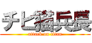 チビ猫兵長 (attack on titan)