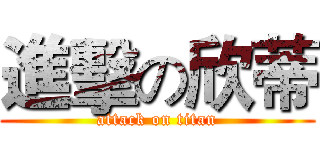 進擊の欣蒂 (attack on titan)