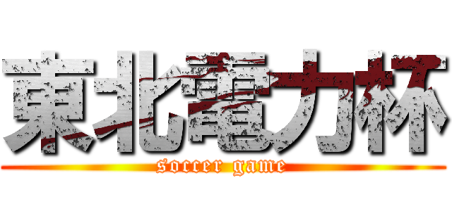 東北電力杯 (soccer game)