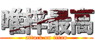 唯梓最高 (attack on titan)