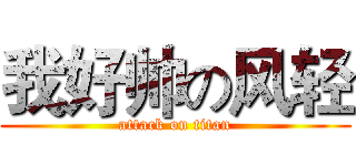 我好帅の风轻 (attack on titan)