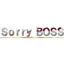 Ｓｏｒｒｙ ＢＯＳＳ (才怪)