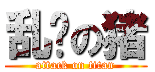 乱飞の猪 (attack on titan)