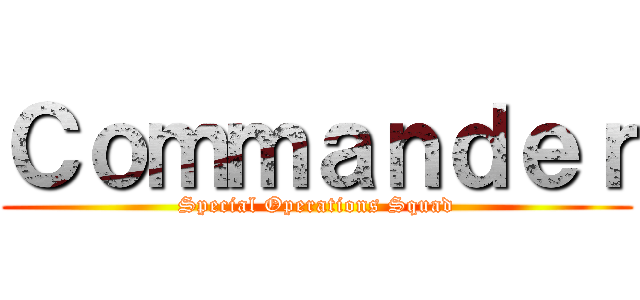 Ｃｏｍｍａｎｄｅｒ (Special Operations Squad)