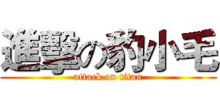 進擊の豹小毛 (attack on titan)