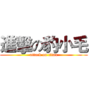 進擊の豹小毛 (attack on titan)