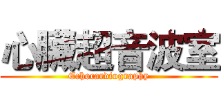 心臟超音波室 (Echocardiography)