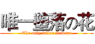 唯一堕落の花 (The only fallen flowers)