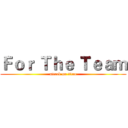 Ｆｏｒ Ｔｈｅ Ｔｅａｍ (attack on titan)