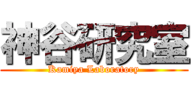 神谷研究室 (Kamiya Laboratory)