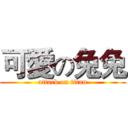 可愛の兔兔 (attack on titan)