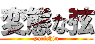 変態な弦 (yarichin)