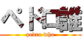 ペドロ誰 (pedro who)