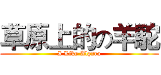 草原上的の羊駝 (I Like Alpara)