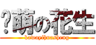 卖萌の花生 (kawayihuasheng)