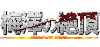 梅澤の絶頂 (attack on titan)